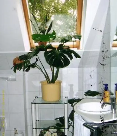 Апартаменты Ferienzimmer In Der Tizian *